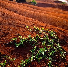 《战锤40K：星际战士2》迎来一周年 推出迄今最大更新！